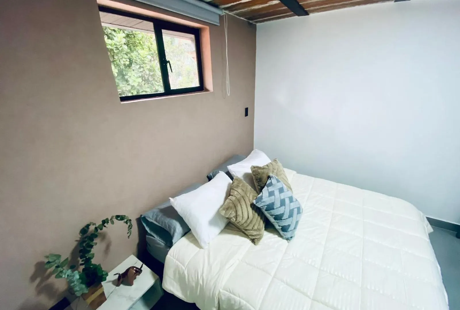 Mi Medellin Hotel Sede Laureles